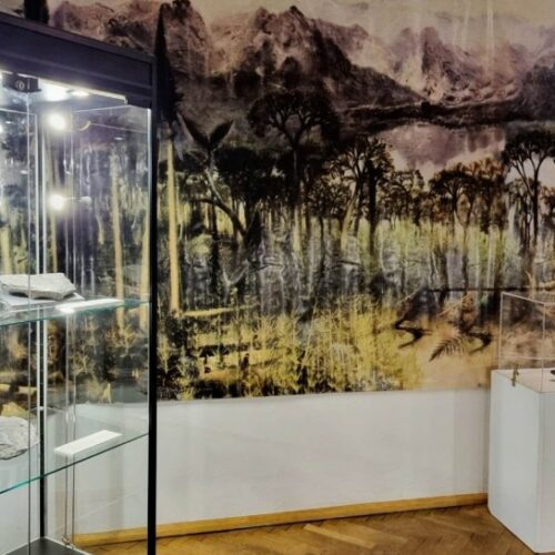 Muzeum Miedzi zaprasza na wędrówkę po karbońskim lesie
